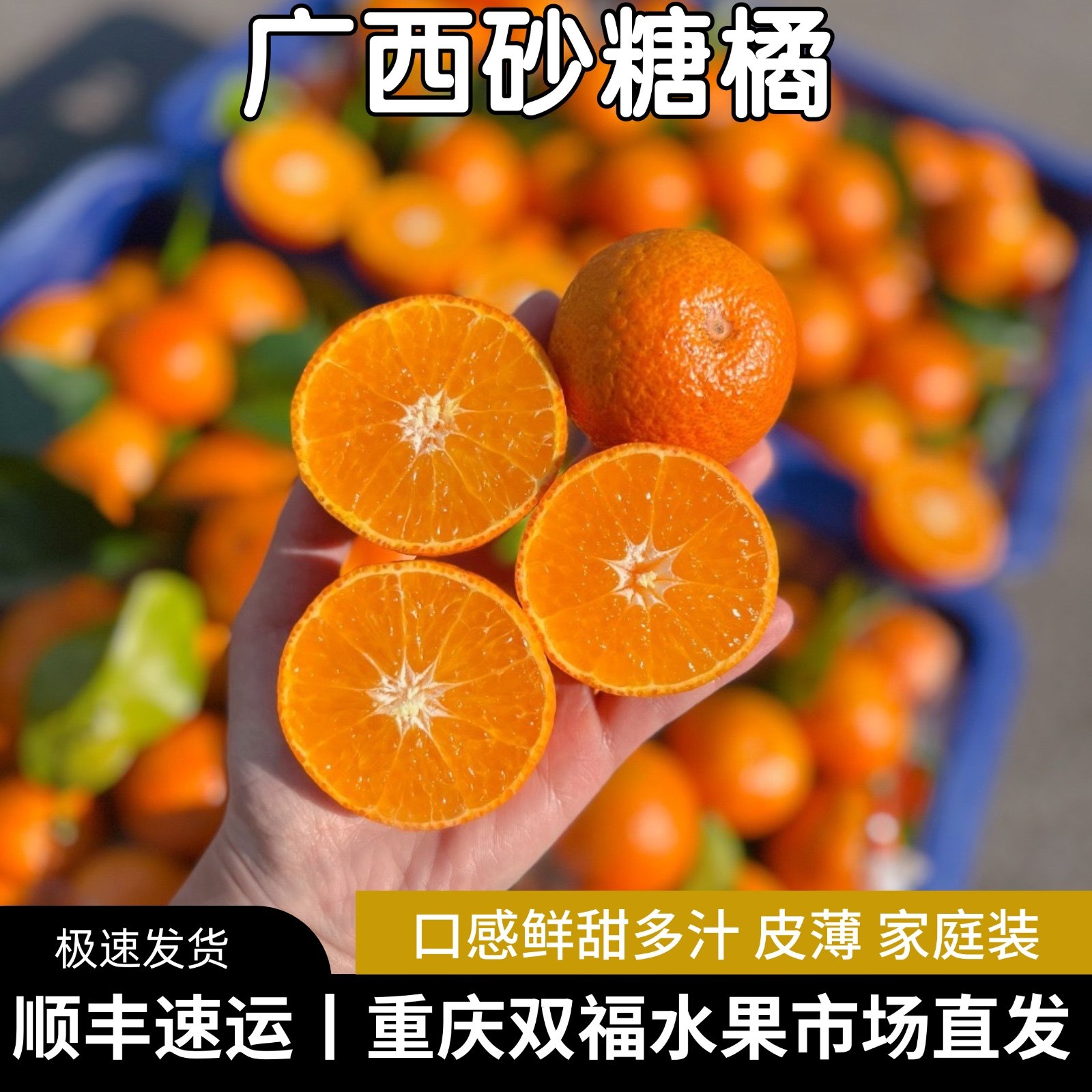 广西砂糖橘5斤10斤家庭装当季