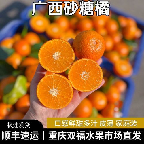 广西砂糖橘5斤10斤家庭装当季
