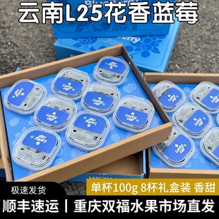 新鲜水果双福发货 大果脆甜当季 云南L25花香蓝莓100gx8杯礼盒装