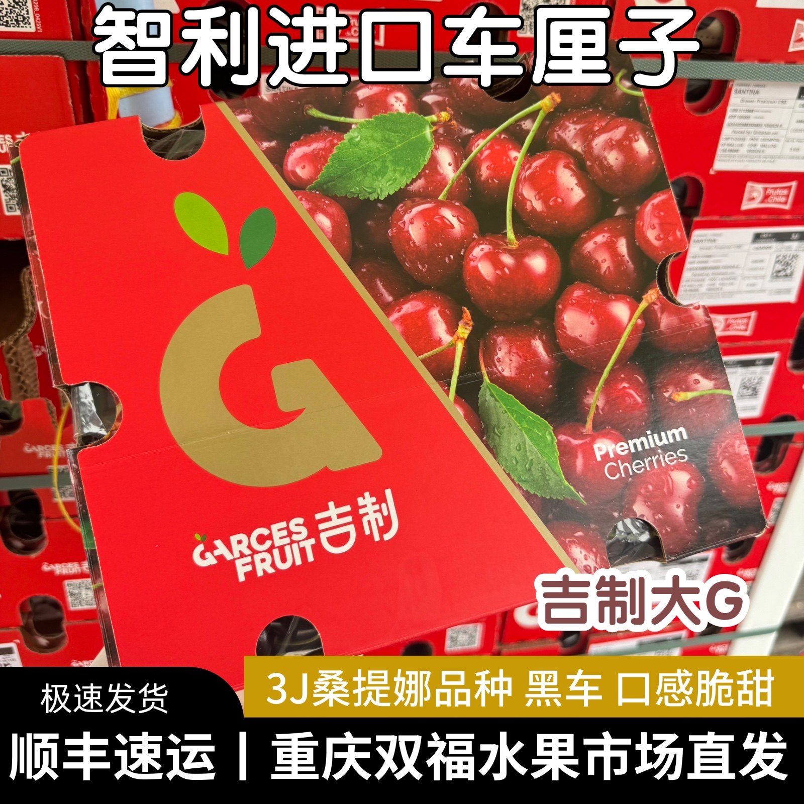 吉制大G桑提娜黑车3JD智利车厘子