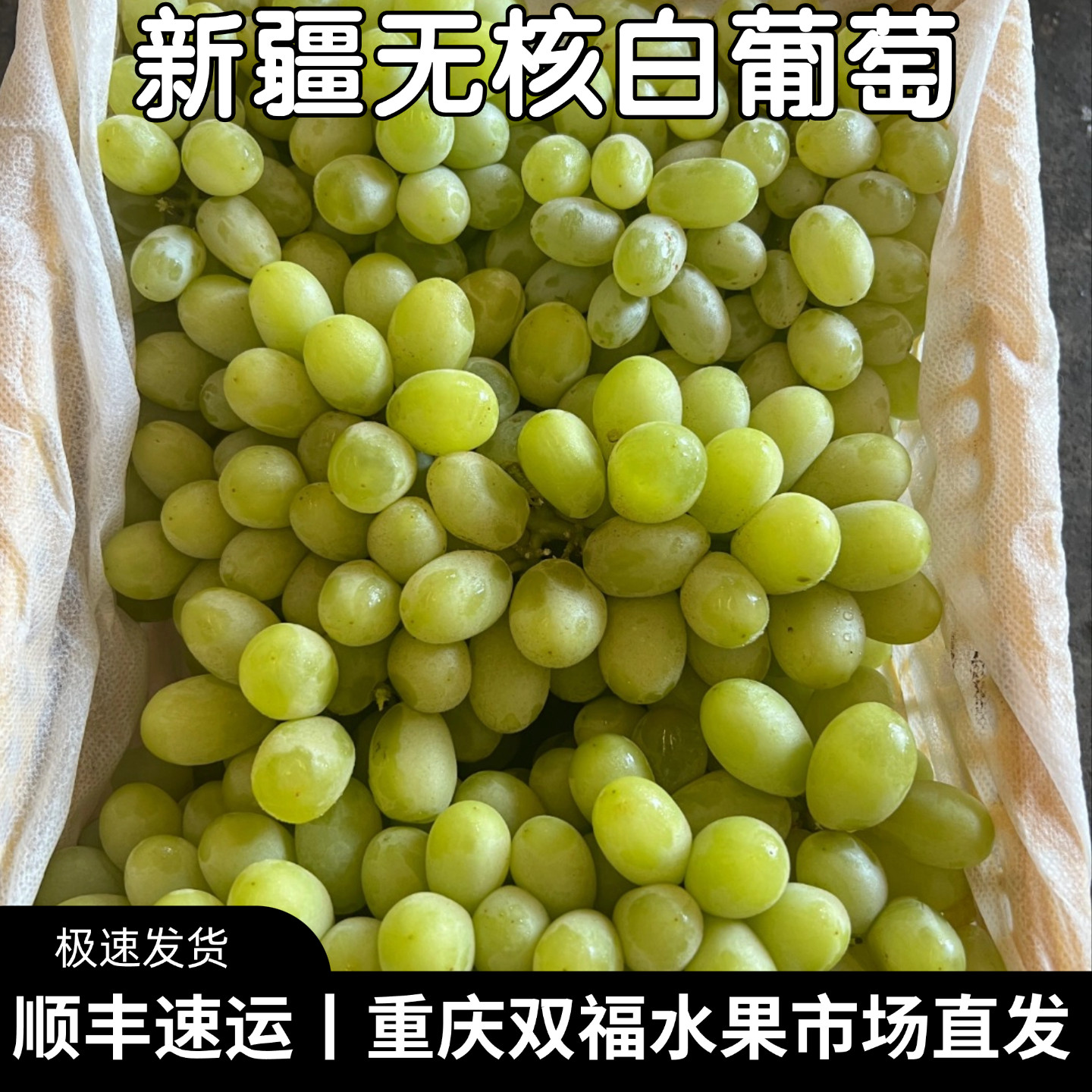 新疆无核白葡萄带箱约5斤当季新鲜绿色葡萄马奶提子水果重庆双福