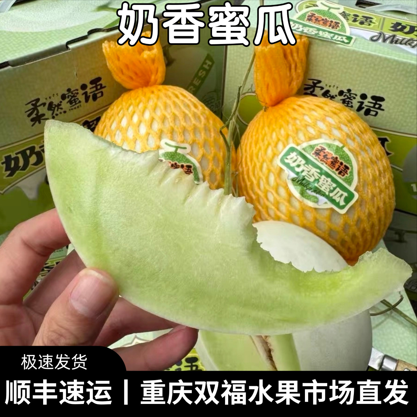 奶香蜜瓜2枚礼盒装净重约5斤