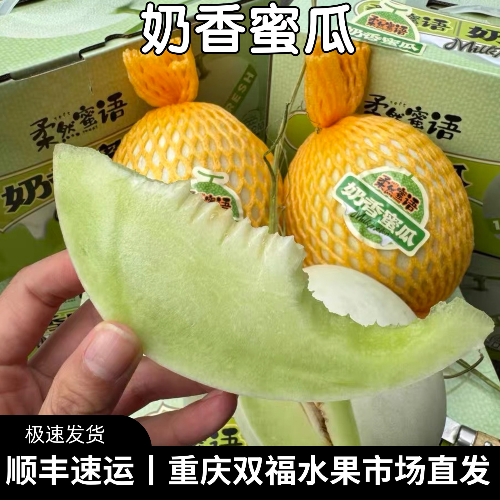 奶香蜜瓜2枚礼盒装净重约5斤