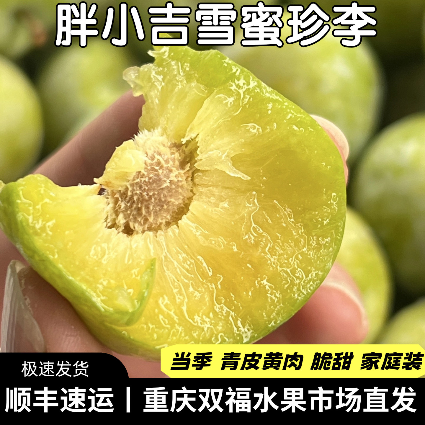 推荐!!!胖小吉雪蜜珍李又脆又甜当季新鲜脆李子青皮黄肉 重庆双福