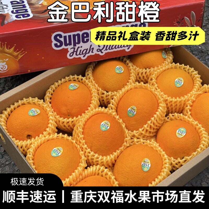 金巴利甜橙12枚礼盒装新鲜进口橙子香甜多汁端午送礼团购重庆双福