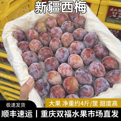 新疆西梅4斤装大果单果约25g甜度高当季水果推荐重庆双福发货顺丰