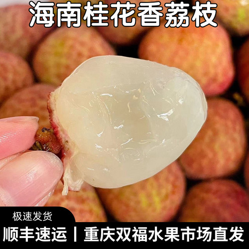 活动中海南桂花香荔枝3斤5斤8斤家庭装鲜甜多汁当季水果重庆双福