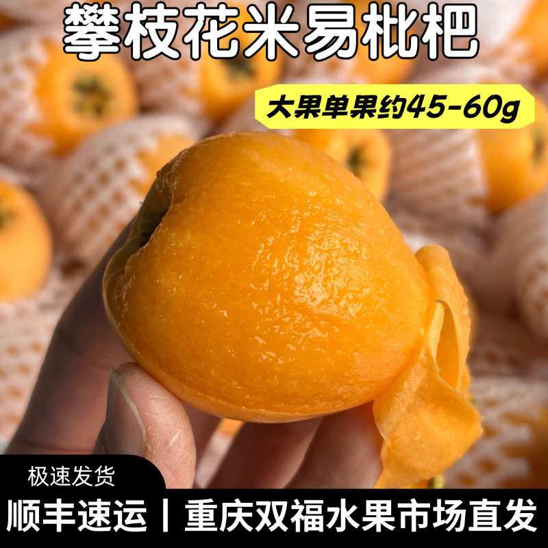 攀枝花米易五星枇杷大果家庭装当季应季四川新鲜水果琵琶双福顺丰