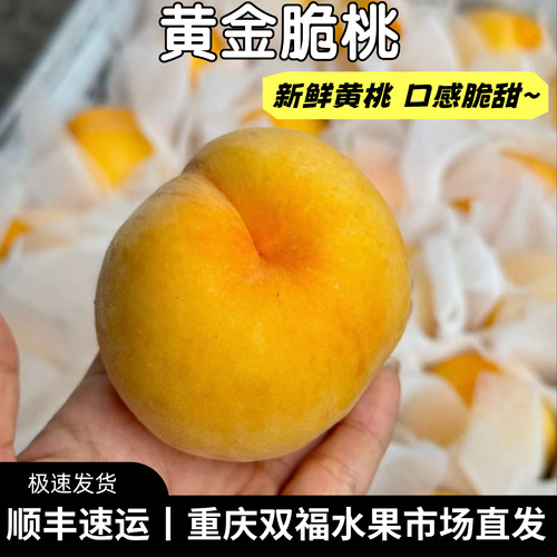 黄金脆桃~新鲜黄桃3斤5斤8斤家庭装当季水果香甜脆桃子 双福顺丰