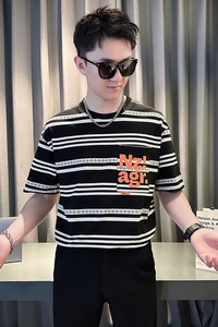 夏季新款男士短袖T恤衫青少年时尚条纹上衣显瘦百搭 TX03-P58图片