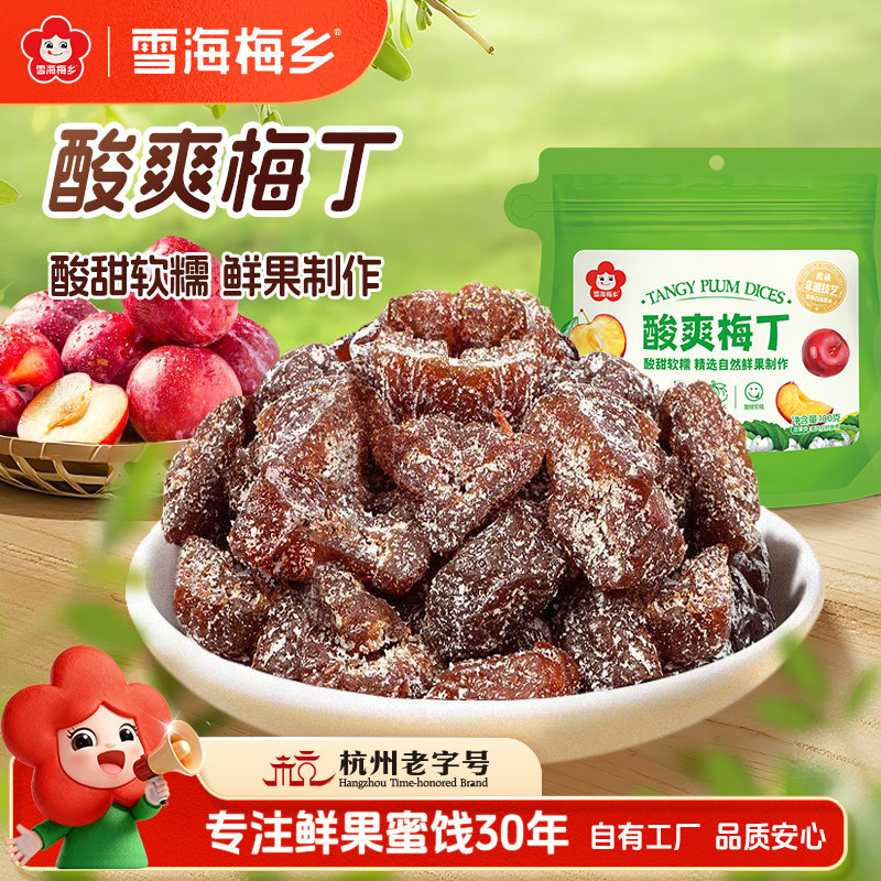 雪海梅乡 酸爽梅丁100g话梅肉软糯酸甜蜜饯果干孕妇解馋休闲零食