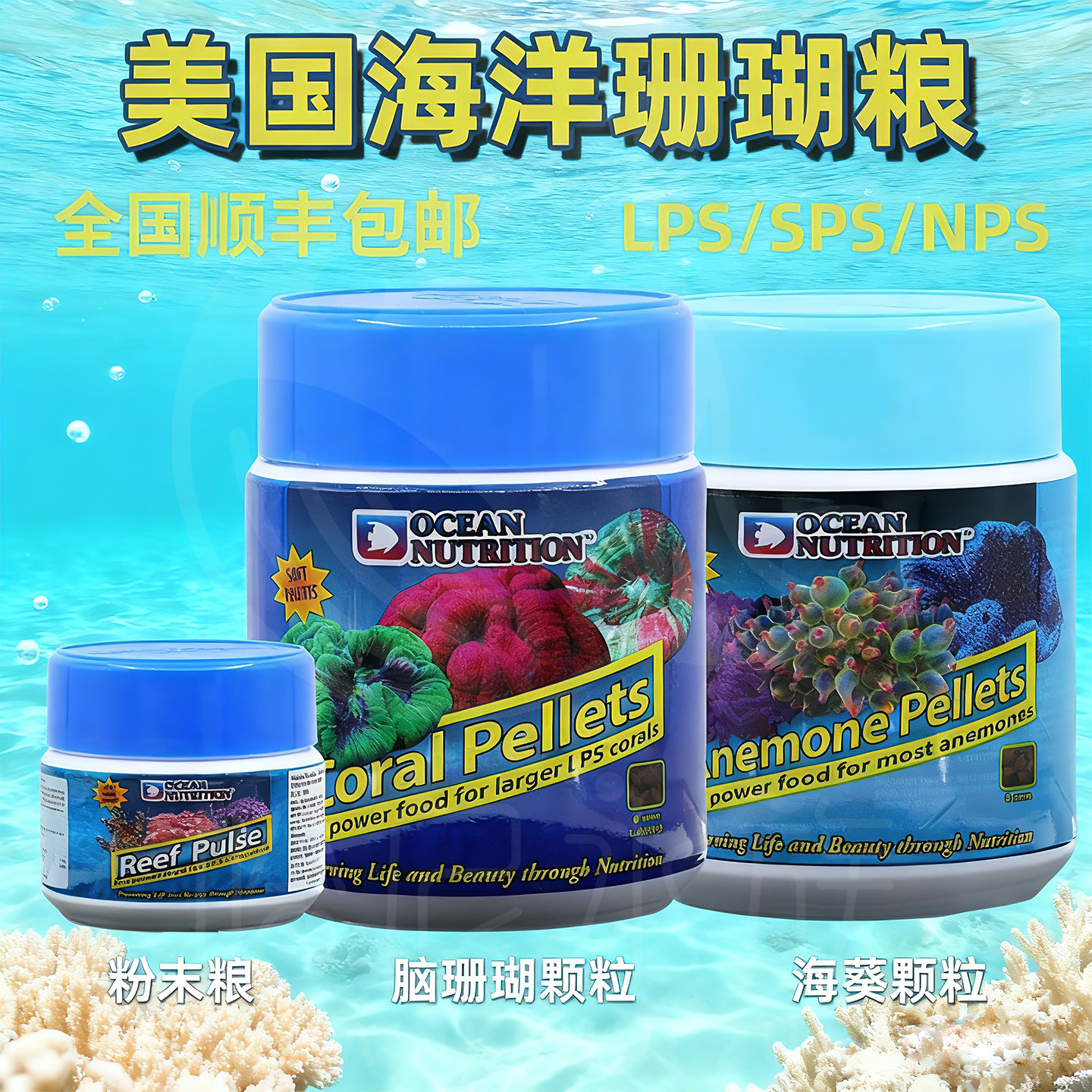 美国海洋脑珊瑚海葵专用粮LPS SPS混合珊瑚粮大力丸纽扣珊瑚饲料