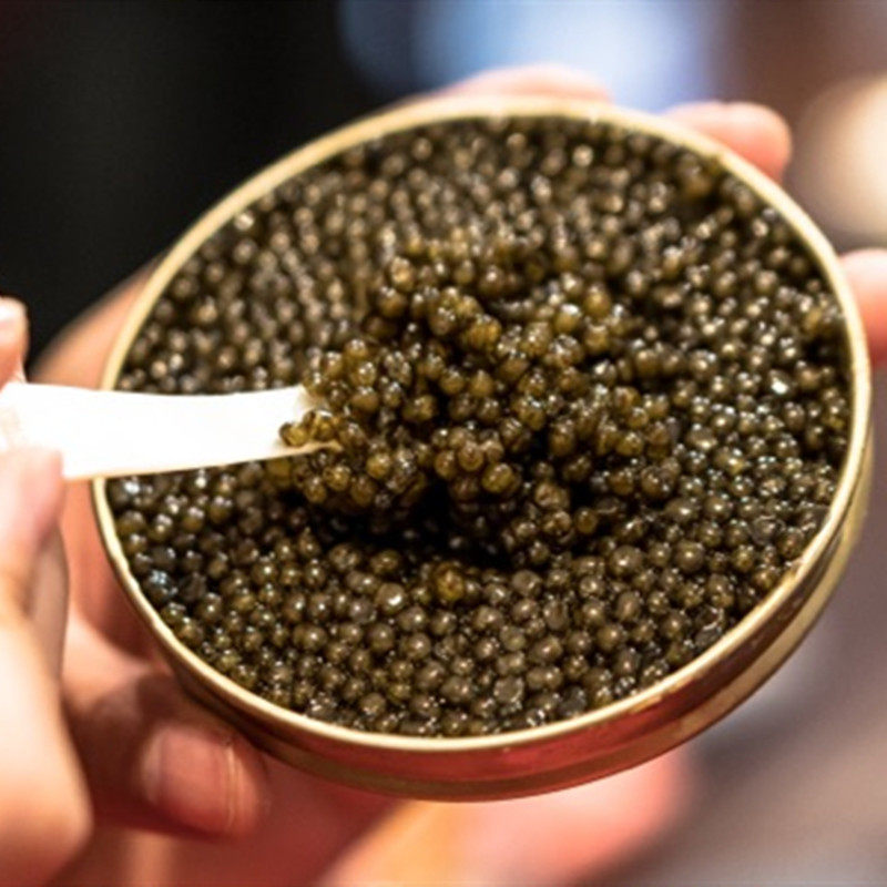 波塞顿&杨小白店主推荐 西伯利亚鲟鱼8年鱼子酱鱼籽酱即食海鲜10g