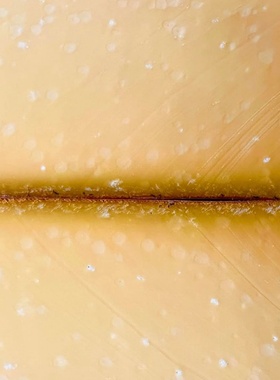 荷兰原装进口老阿姆斯特丹芝士干酪陈年奶酪Old Amsterdam150G