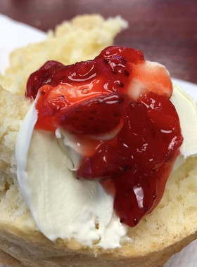 英国原装进口德文郡浓缩稀奶油双德文涂抹奶油奶酪454Creams包邮