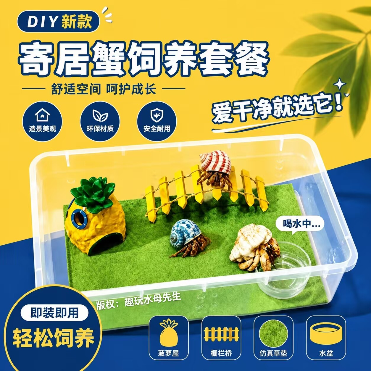 寄居蟹小豆丁包草坪爬梯套餐