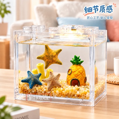 冬天可以养的海洋生物派大星礼物
