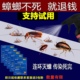 蟑螂药家用婴儿非无毒一窝全灭大小通杀强力饭店厨房诱捕器喷雾剂