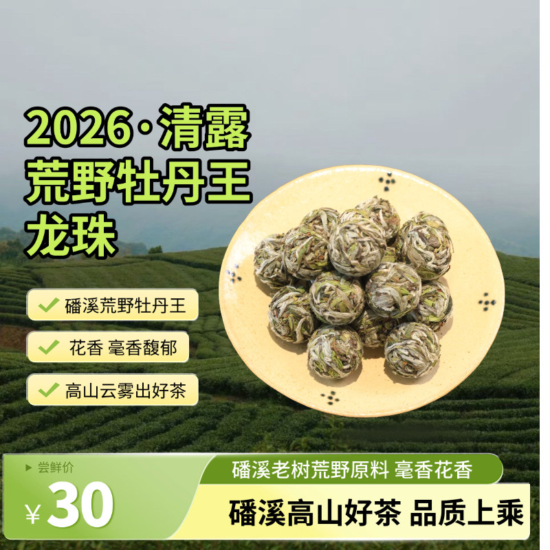 福鼎白茶2026年清露荒野特级白牡丹龙珠茶球正宗磻溪老树春茶茶叶