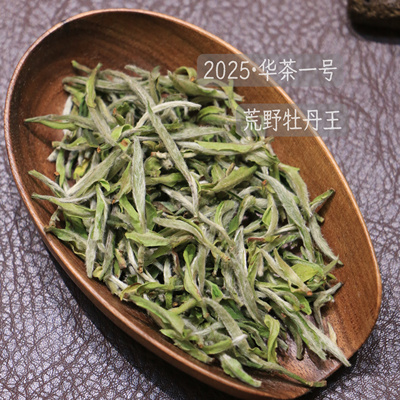 华一牡丹王福鼎白茶2025年老树华茶一号荒野牡丹王春茶叶