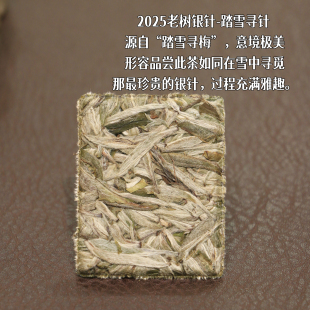 春醉 踏雪寻针 福鼎白茶2025年老树白毫银针方片正宗磻溪高山茶叶
