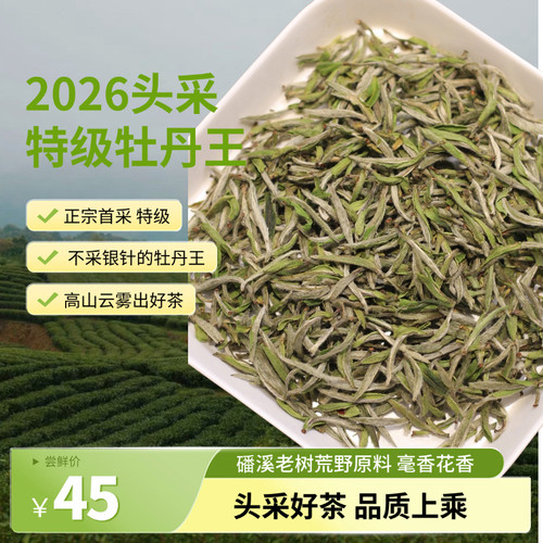 春醉预售福鼎白茶2026年首采老树牡丹王磻溪高山春茶茶叶