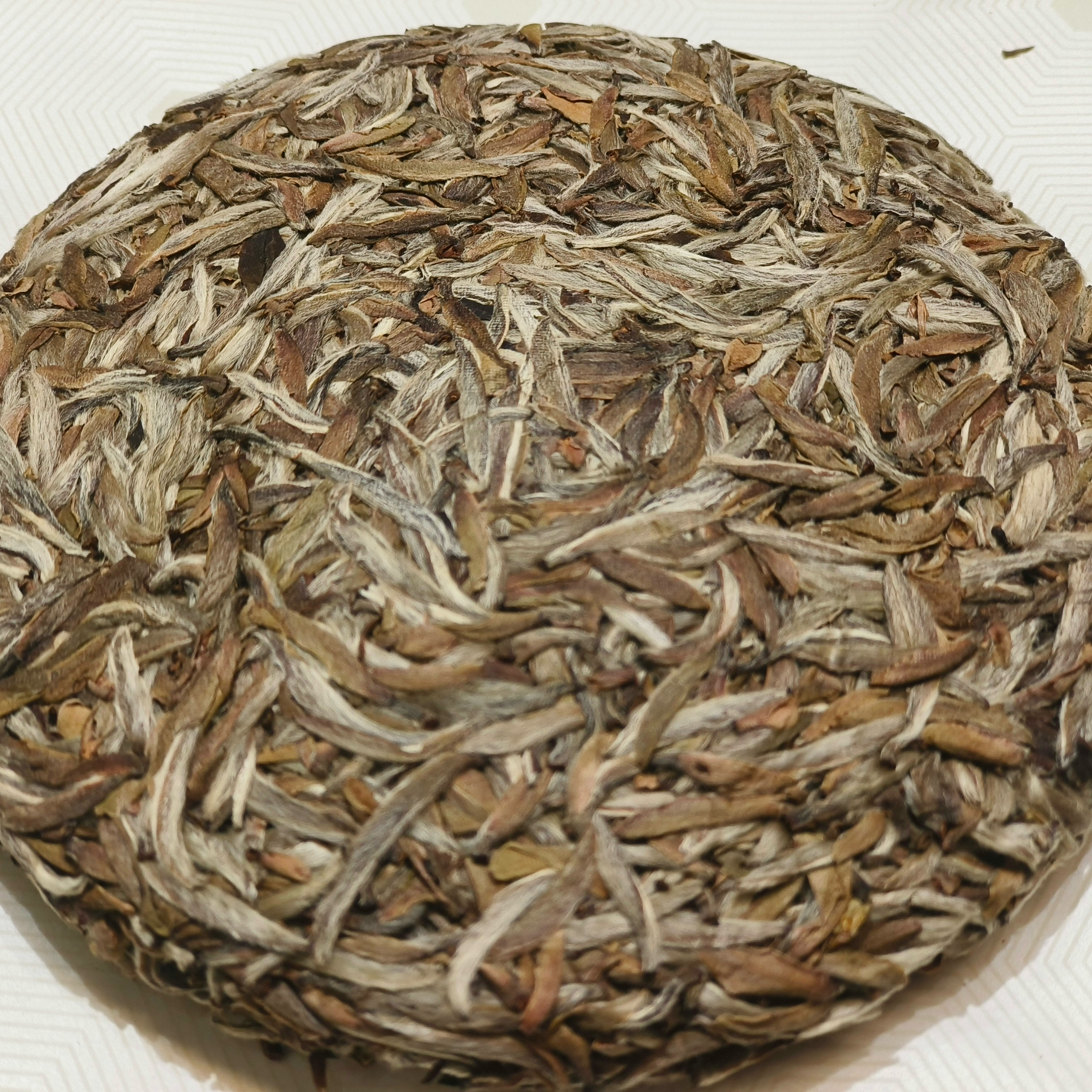 福鼎白茶麟角2021年头采荒野银针正宗核心产区白毫银针100克饼