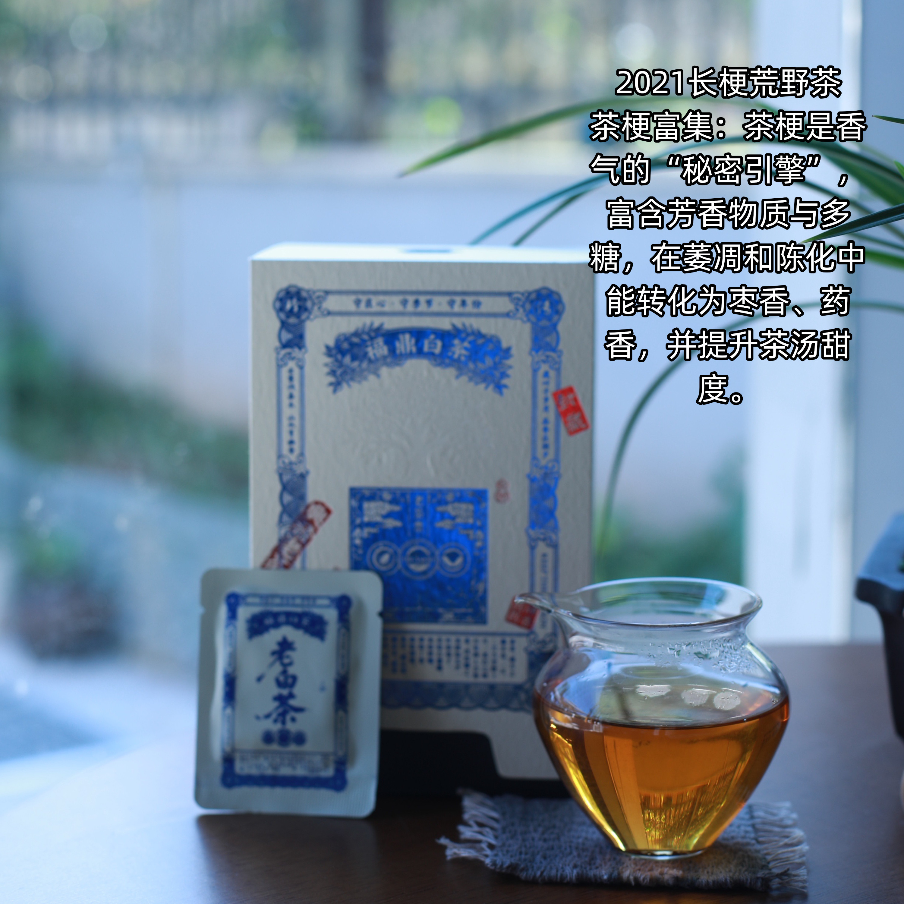 福鼎白茶2014年老树荒野茶正宗磻溪大长梗饼干茶野韵十足内质丰富