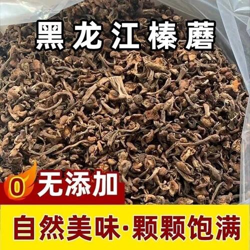 东北特产榛蘑干货小鸡炖蘑菇无根干香菇榛蘑丁