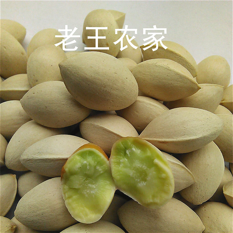 2025年现摘新鲜大白果银杏果老树银杏果特级糯白果带壳生银杏果仁
