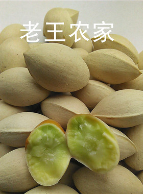 今年新鲜老树大白果银杏果