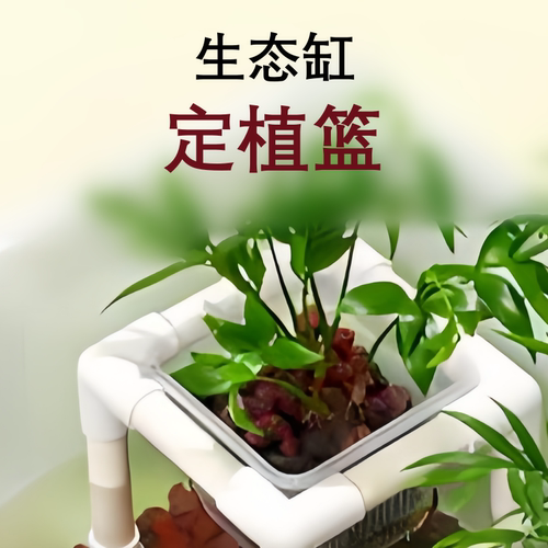 乌龟生态缸专用水培定植篮支架 防龟啃绿植固定架 龟箱造景配件
