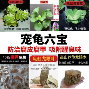 乌龟专用品乌龟活物养乌龟水草小宠物造景植物巴西龟水草龟缸用品