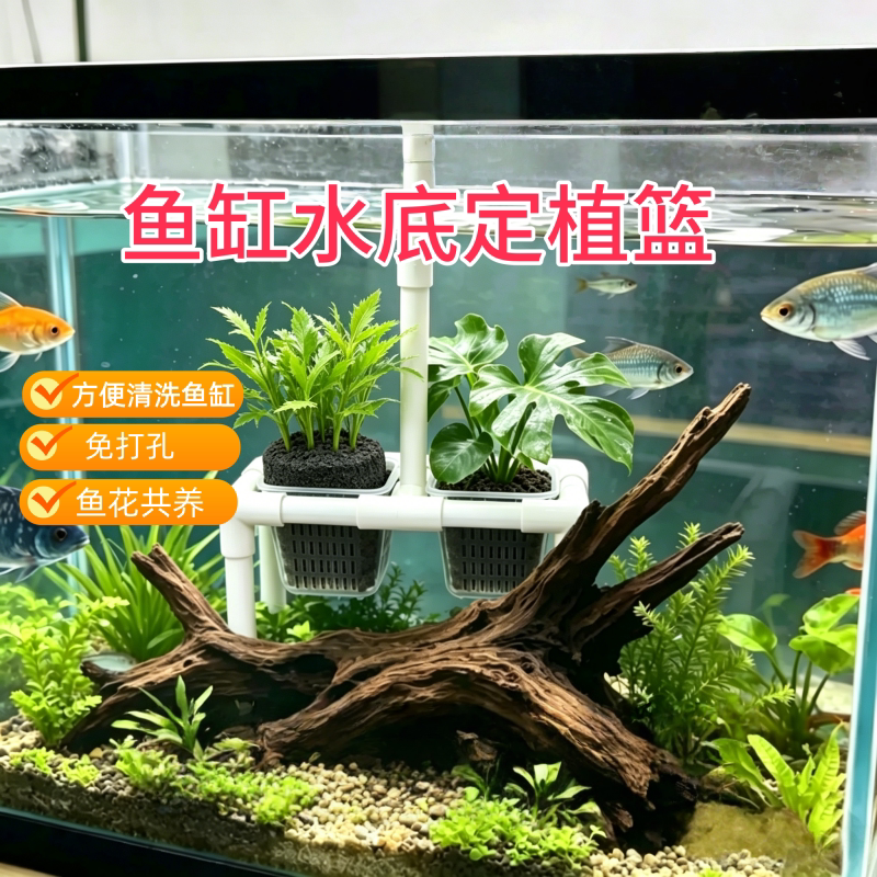 乌龟生态缸专用水培定植篮支架 防龟啃绿植固定架 龟箱造景配件图片