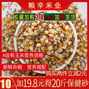 10斤装有玉米鸽粮赛飞营养饲料鸟食信鸽观赏鸽肉鸽粮鸽子食包邮