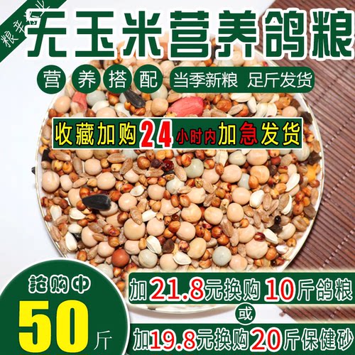 营养无玉米赛飞50斤观赏鸽