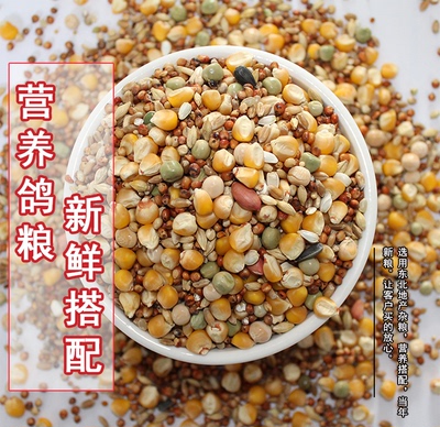 富伴鸽粮优质性价比高