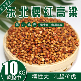 2023年新高粱糯高粱带皮糯高粱去壳粘高粱黏高粱20斤装