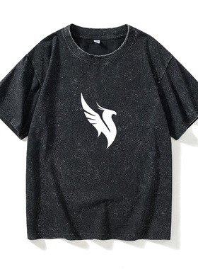 凤凰之子ILLENIUM PRISM SCOOPelectricfamily EDM电音节T恤短袖