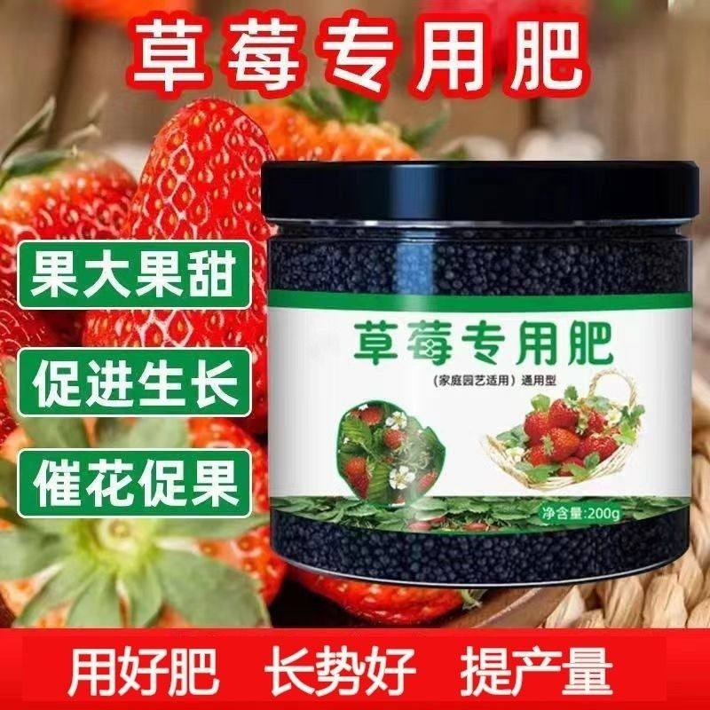 草莓专用肥家用盆栽颗粒缓释肥促果增大增产有机营养水溶复合肥料,鲜花速递/花卉仿真/绿植园艺,家庭园艺肥料,淘宝优惠券,粉丝福利购,淘宝优惠卷
