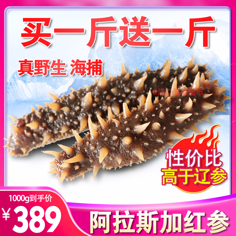 【超大野生海参】即食加拿大北美进口阿拉斯加红刺参北极美国红参