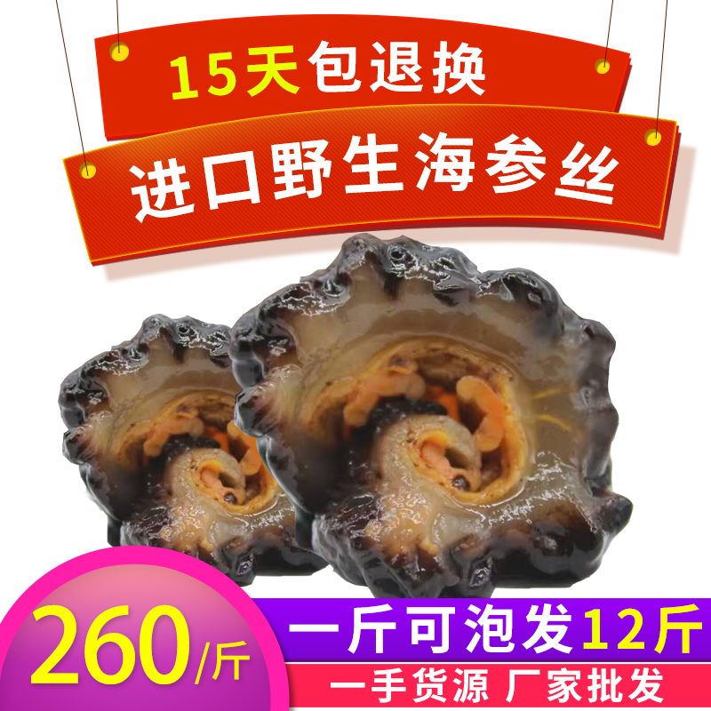 野生进口海参干货 淡干海参加拿大红极参冰岛 海参丝 500g 品质好