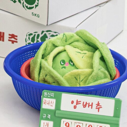 韩国卷心菜藏食响纸狗狗嗅闻玩具