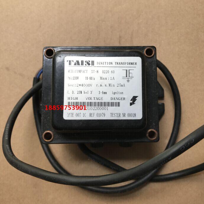 2*4KV双级点火变压器 TAISI2*7KV燃烧机点火高压包 BRAHMA