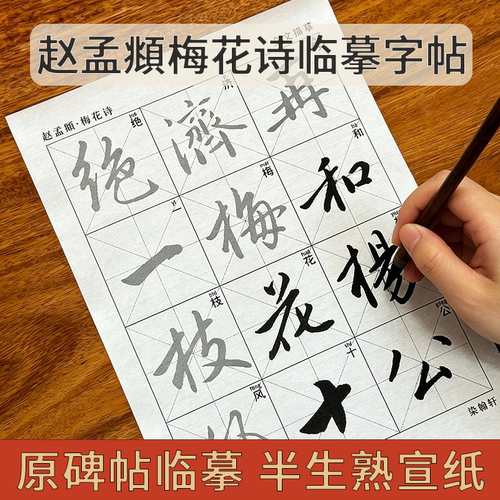 赵孟頫梅花诗帖描红中楷字帖
