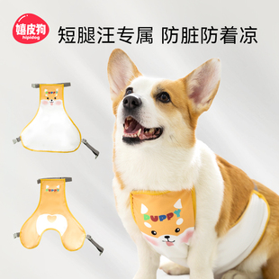 泰迪雪纳瑞小型犬宠物薄款 嬉皮狗柯基肚兜狗狗衣服春夏季 防脏防凉