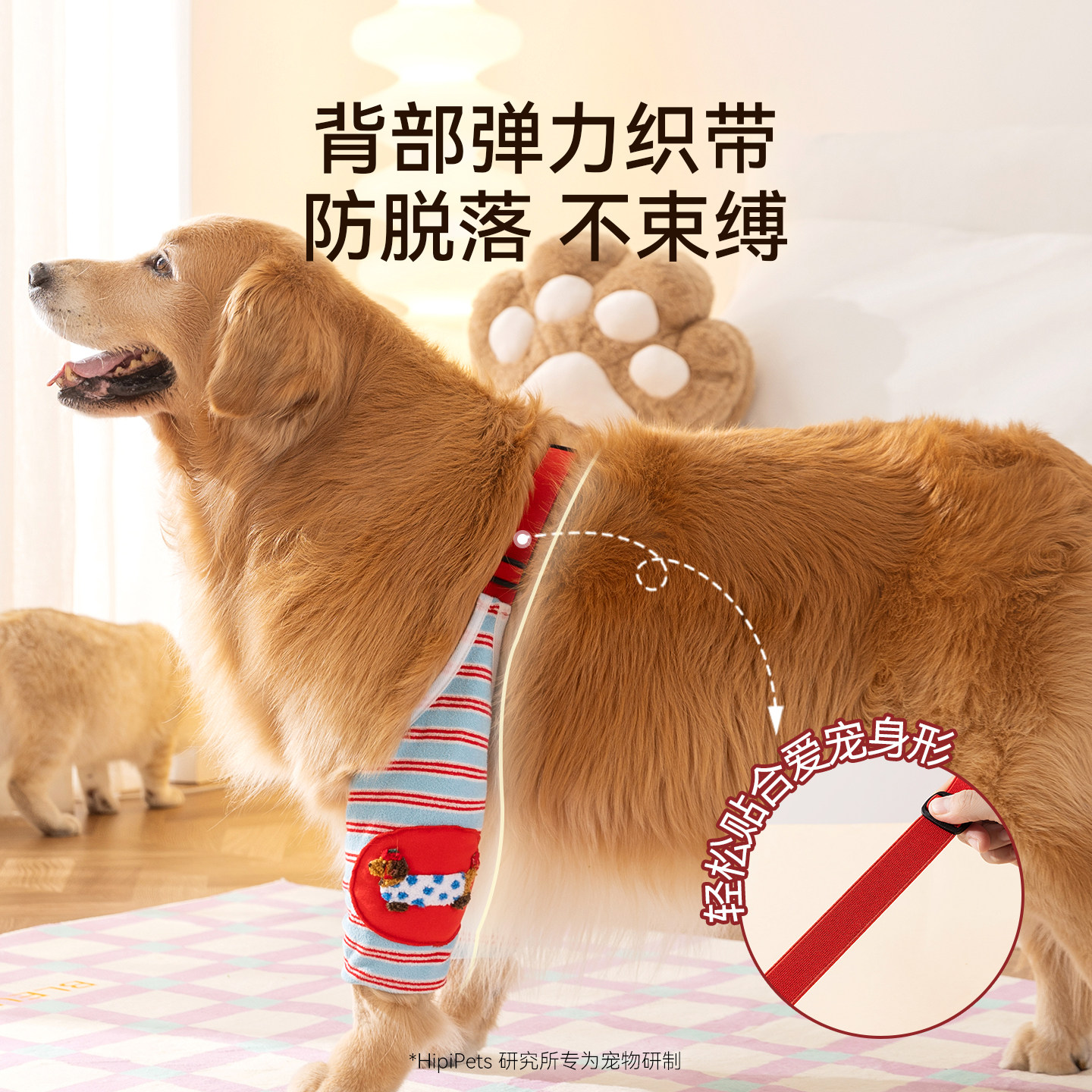 狗狗关节保护套护腿衣护肘衣中大型犬袜子宠物护膝关节保护套毛巾,宠物/宠物食品及用品,袜子,淘宝优惠券,粉丝福利购,淘宝优惠卷