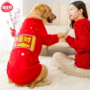 金毛拉布拉多柴犬宠物中型大型犬秋冬款 拜年服 新年大狗狗衣服冬季