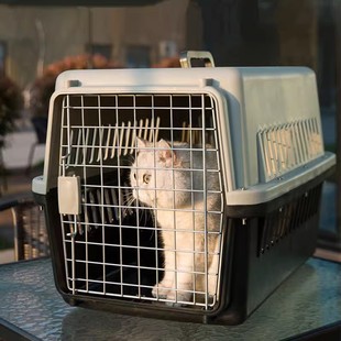 包猫外出便携大容量猫咪太空舱背包大容量航空箱手提式 宠物行李箱