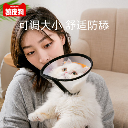 伊丽莎白圈猫绝育项圈防舔咬